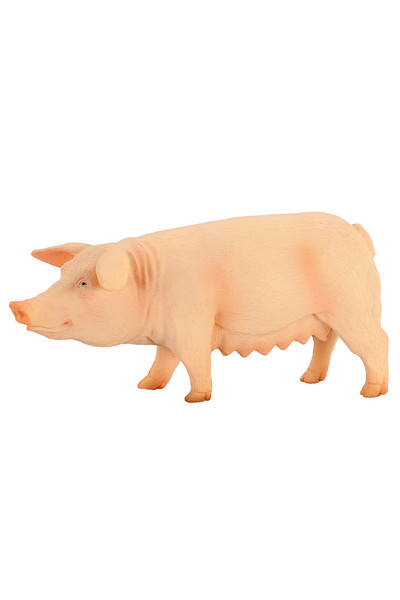 Pig (Medium)