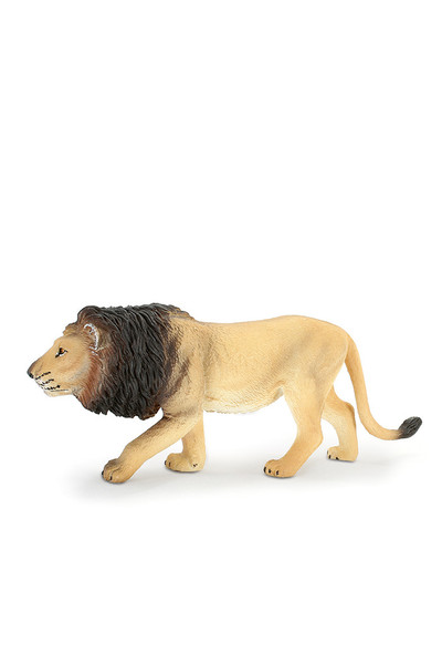 Male Lion (Large)