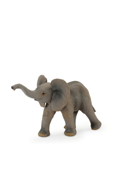 African Elephant - Calf (Small)