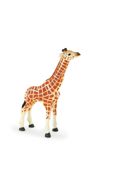Giraffe - Calf (Large)