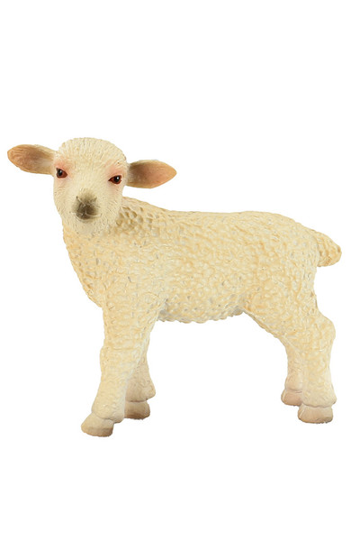 Lamb (Small)