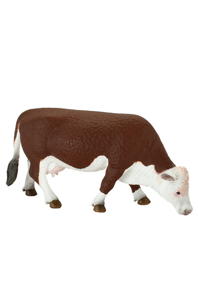 Hereford Cow Grazing (Extra Large)