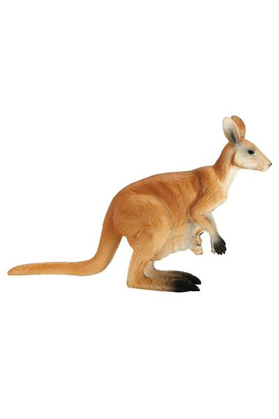 Kangaroo (Large)