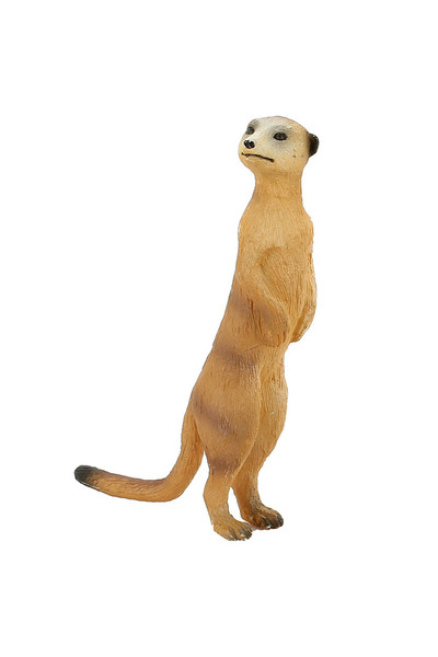 Meerkat (Small)