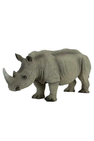White Rhino - Extra Large