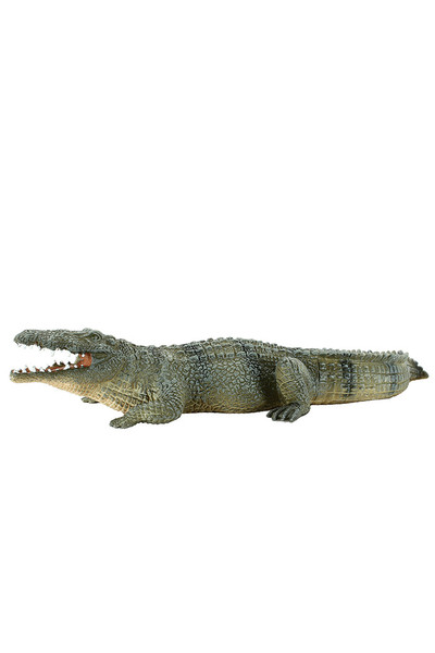 Nile Crocodile (Extra Large)