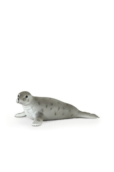 Grey Seal (Large)