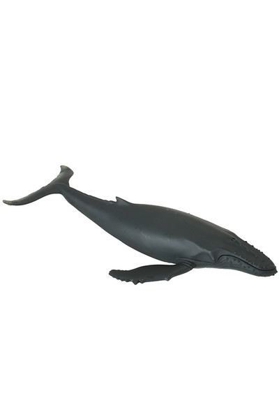 Humpback Whale (Large)