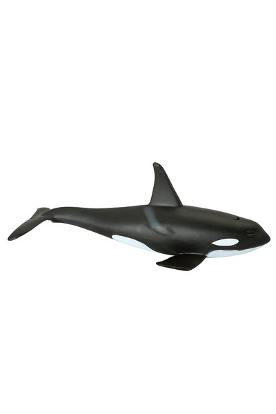 Male Orca (Large)