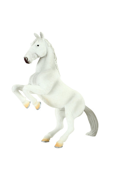 Lipizzaner - Stallion (Extra Large)