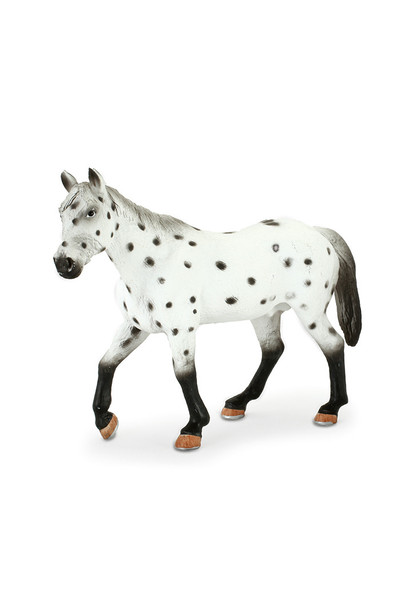 Appaloosa Stallion (Extra Large)