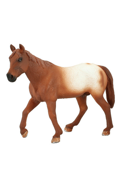 Appaloosa Stallion - Chestnut Blanket (Extra Large)