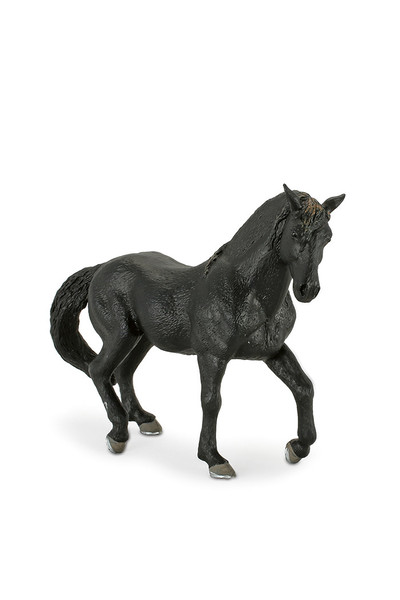 Andalusian - Black (Extra Large)