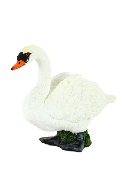 Mute Swan (Small)