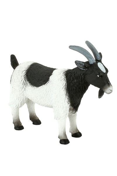 Billy Goat  (Medium)