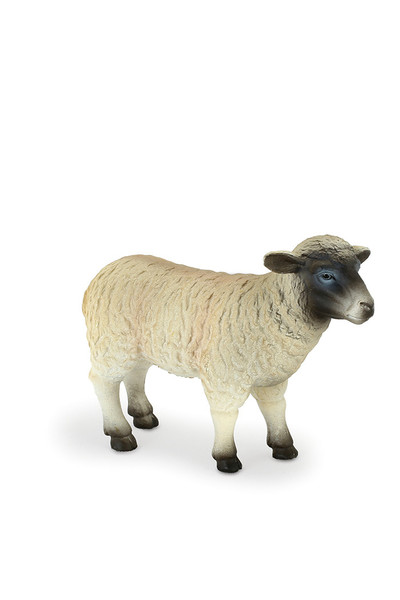 Black Faced Sheep - Ewe (Medium)