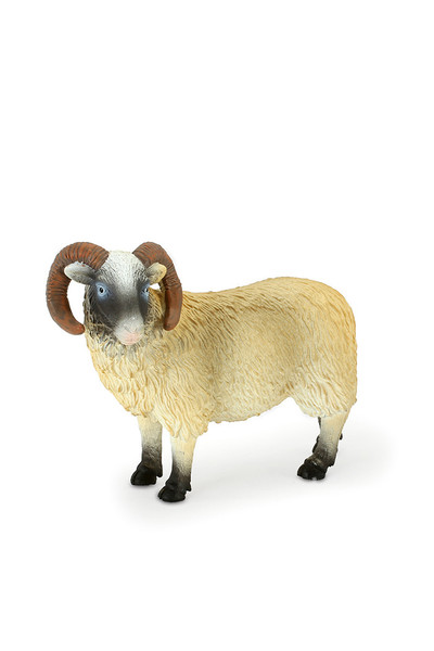 Black Faced Sheep - Ram (Medium)