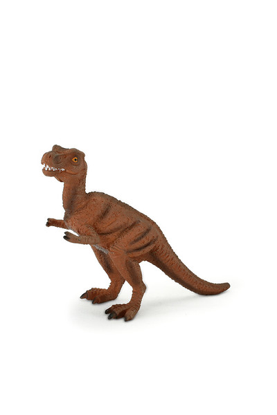Juvenile T-Rex (Medium)