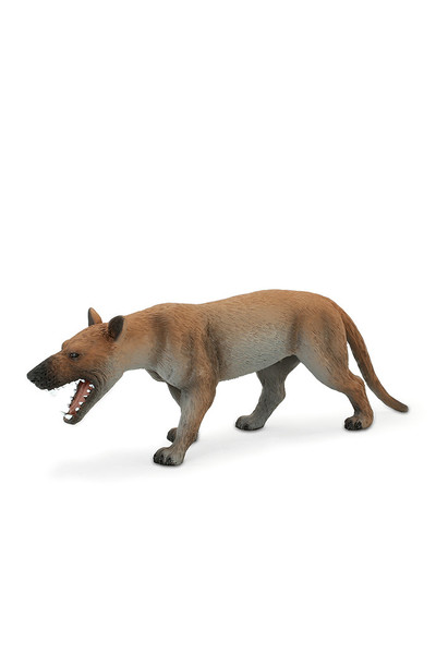 Hyaenodon Gigas (Extra Large)