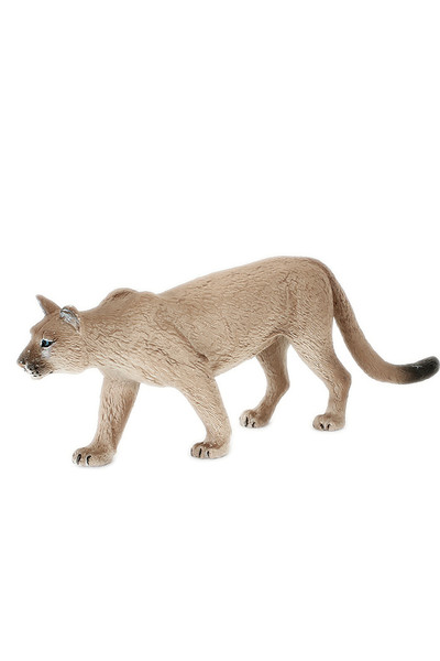 Mountain Lion (Large)