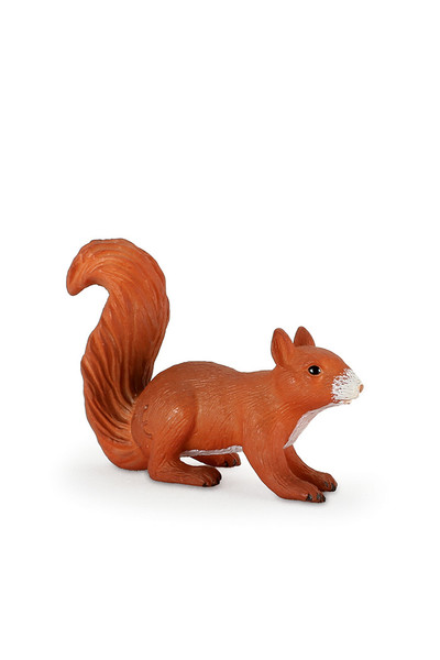Squirrel - Running (Small)