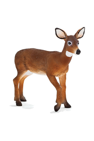 White Tail Deer - Doe (Medium)