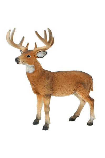 White Tail Deer - Buck  (Large)