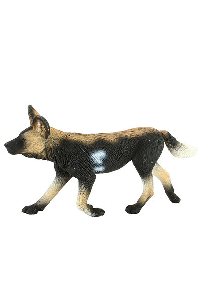 African Painted Dog (Medium)