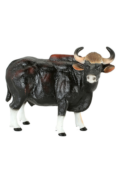 Gaur Bull (XXL)