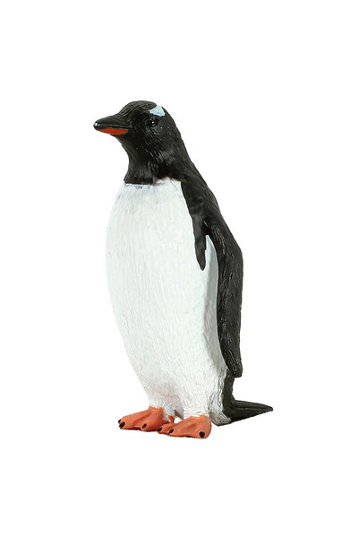 Gentoo Penguin (Medium)
