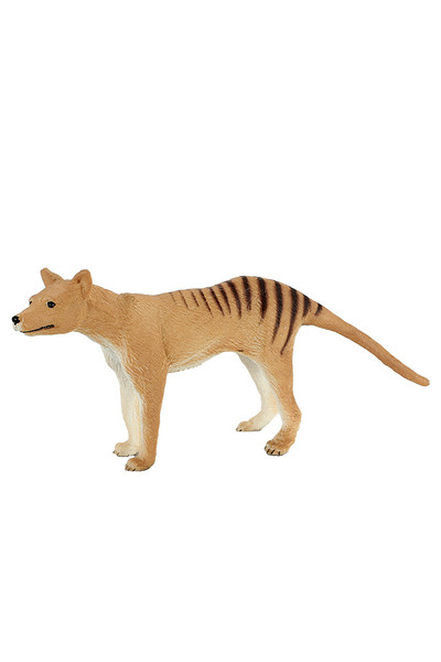 Tasmanian Tiger (Medium)
