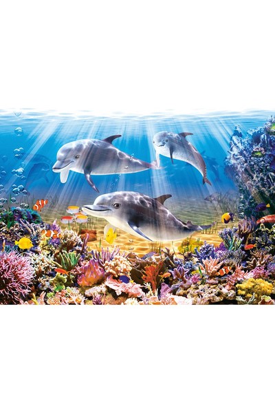 500 Piece Puzzle - Dolphins Underwater
