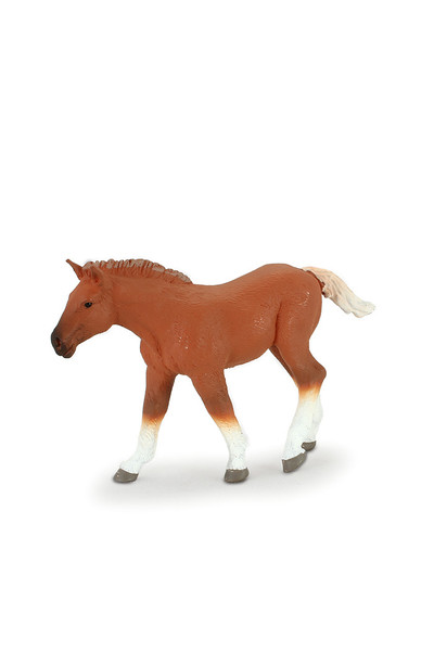 Suffolk Punch - Foal (Medium)