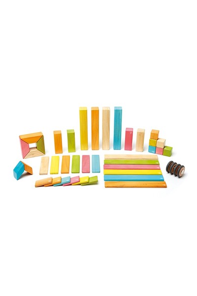 Magnetic Wooden Blocks - Tints (42 Pieces)