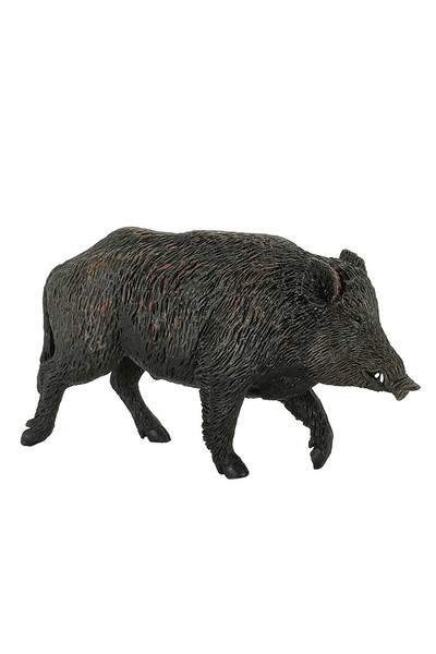 Wild Boar (Medium)