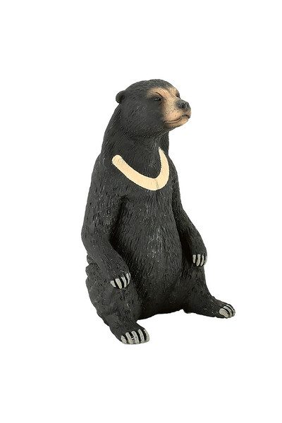 Sun Bear (Large)