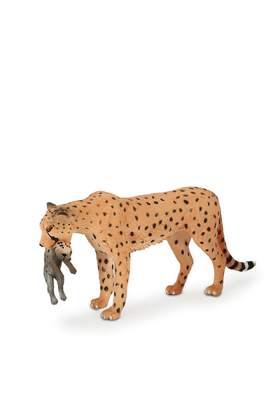 Female Cheetah with Cub