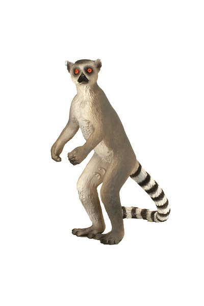 Ringtail Lemur (Medium)