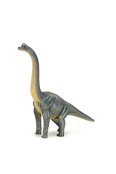 Brachiosaurus (XXL)