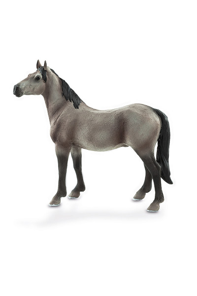 Orlov Trotter (Extra Large)