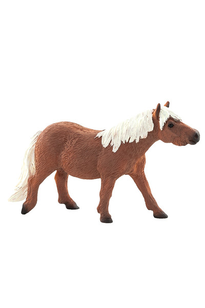 Shetland Pony (Medium)
