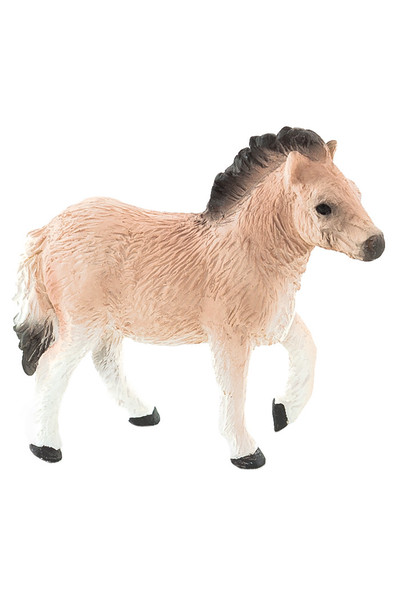 Shetland Pony - Foal (Small)