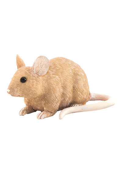 Mouse (Small)