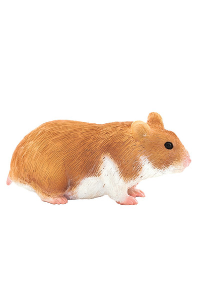 Hamster (Small)