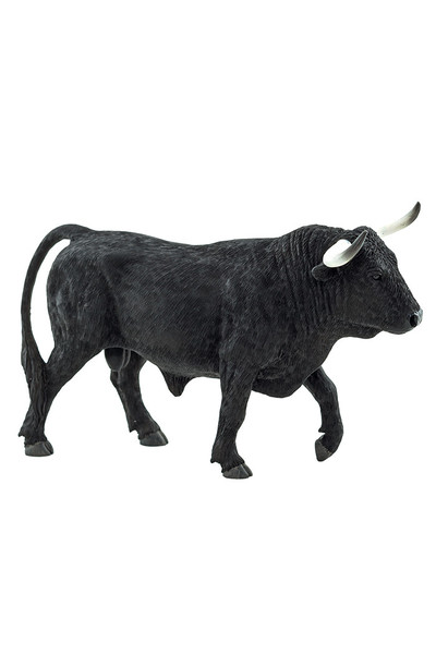 Spanish Bull (Extra Large)