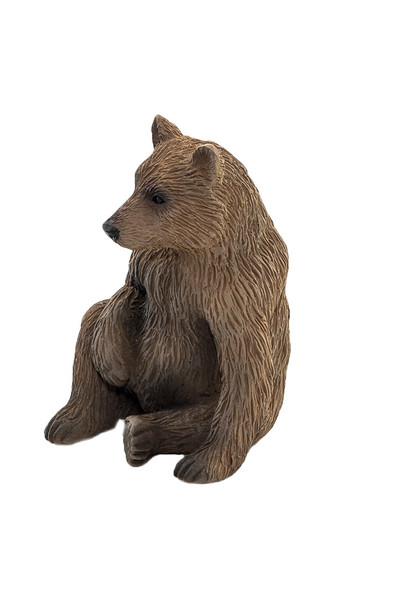 Grizzly Bear - Cub (Small)