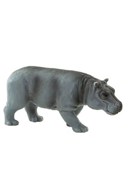 Mini Hippopotamus