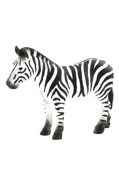 Mini Zebra