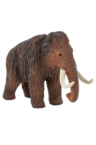 Mini Mammoth