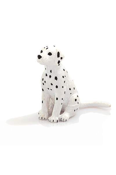 Dalmatian - Puppy (Small)